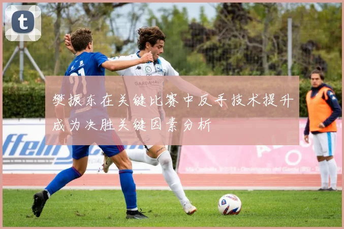 樊振东在关键比赛中反手技术提升成为决胜关键因素分析