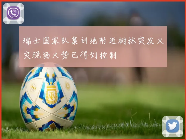 瑞士国家队集训地附近树林突发火灾现场火势已得到控制