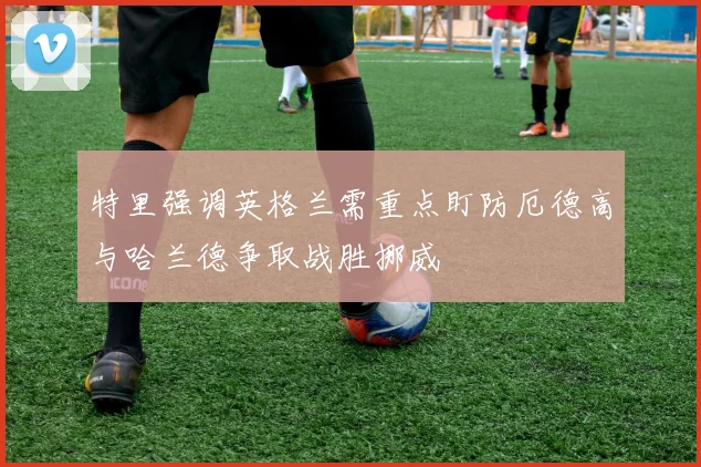 特里强调英格兰需重点盯防厄德高与哈兰德争取战胜挪威